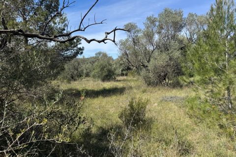 Tomt i Rossell, Castellon, Rossell - € 35 000 | Ref: Canguro - foto 9